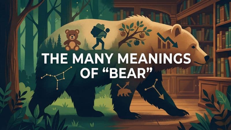 「熊」は英語で?発音・種類から「耐える」の意味まで解説