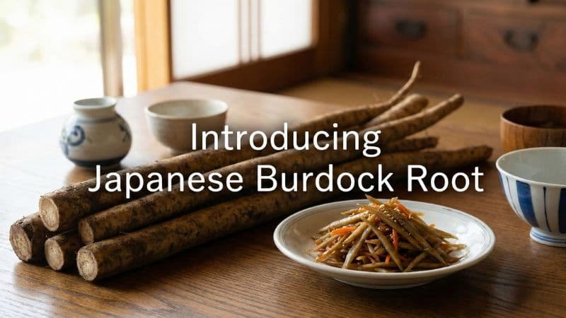 ごぼうは英語で?発音から味・食感のフレーズまで