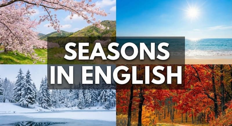 季節は英語で?春夏秋冬のスペル・読み方から前置詞のルールまで徹底解説