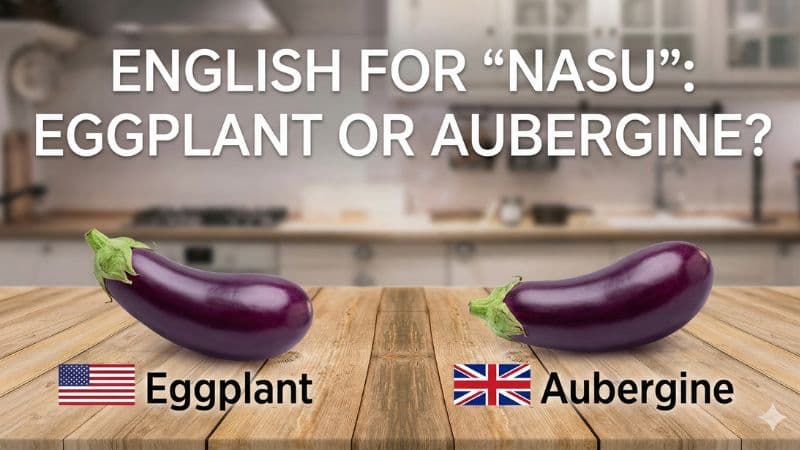 「なす」は英語で?イギリス英語との違いや料理名まで解説