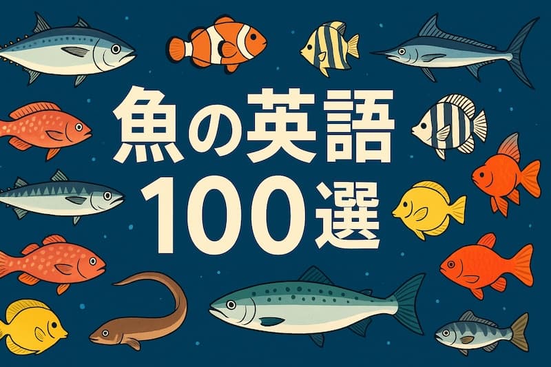 魚の英語100選|海・川・料理・ことわざまで一気に学べる!