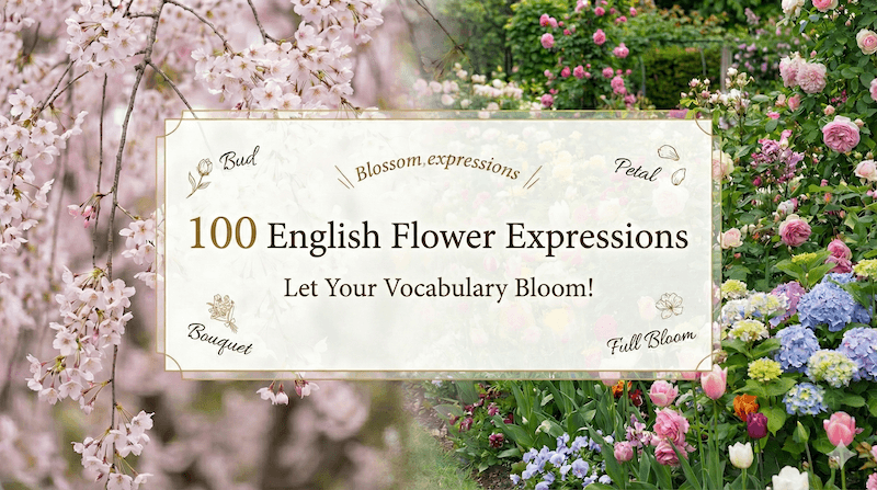 【花の英語100選】種類・花言葉・部位・フレーズまで完全版