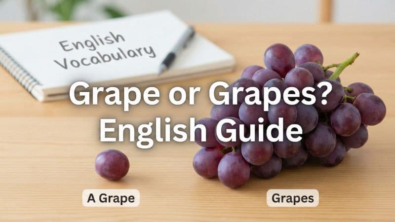 ぶどうは英語で?複数形の使い分けや品種・数え方も解説