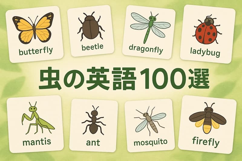 虫の英語100選|身近な虫から珍しい昆虫まで一気に学ぼう!