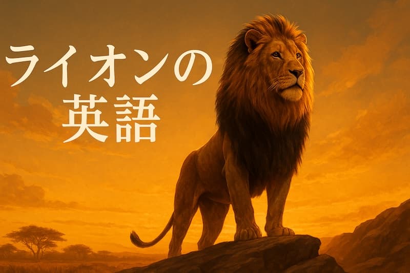 ライオンの英語100選|英単語・表現・豆知識で“百獣の王”を学ぼう