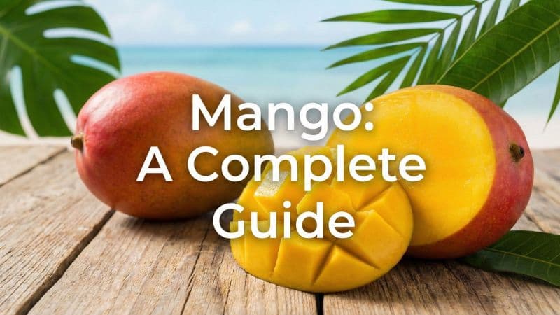 マンゴーは英語で?スペル・発音・迷いやすい複数形を解説