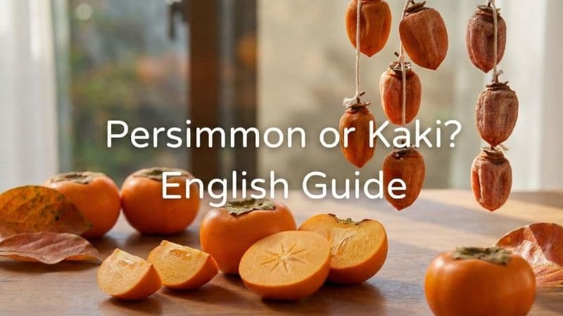 柿は英語で?Kakiの使い分けと発音・種類(甘柿・渋柿)を解説