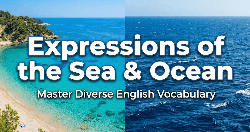 【海の英語100選】Sea・Oceanの違いやビーチ・生物まで完全網羅