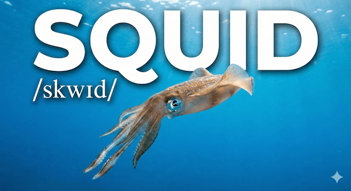 「イカ」は英語でSquidだけじゃない?Calamariとの違いや「イカれてる」のスラング英語まで完全解説