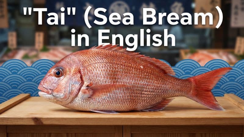 鯛は英語で何?海外の寿司事情や「たい焼き」の説明フレーズまで