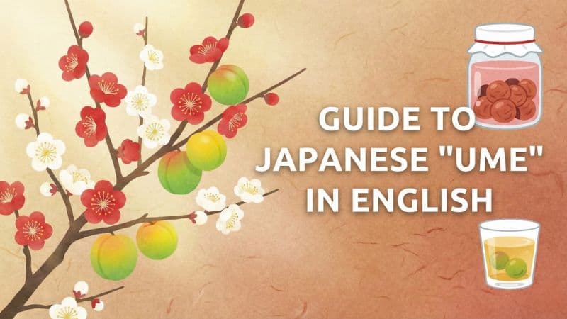 梅は英語で?正しい呼び方と「梅干し」「梅酒」の説明フレーズ