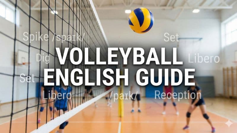 バレーボールの英語表現|正しい綴りからポジション名の呼び方まで