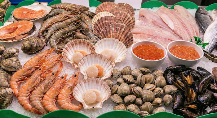 魚介類 写真