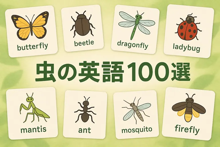 虫の英語100選|身近な虫から珍しい昆虫まで一気に学ぼう!