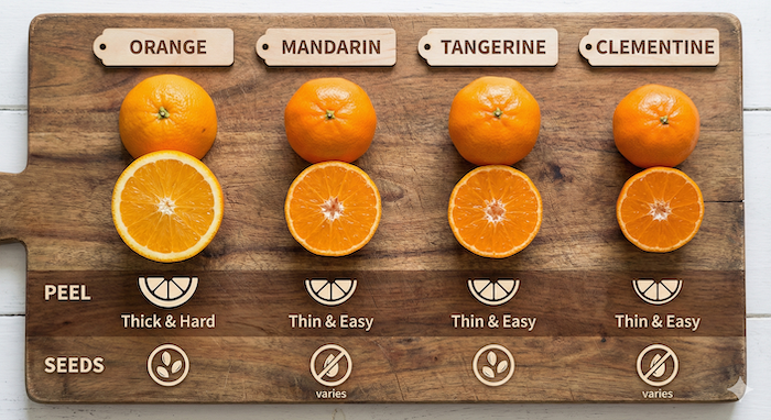 Citrus types features comparison chart / 柑橘類の種類の比較チャート