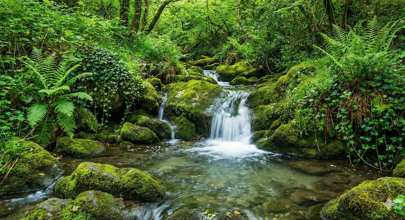 水と緑の情景 アイキャッチ