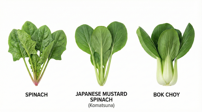ほうれん草 小松菜 チンゲン菜 英語名 (Spinach, Komatsuna, Bok Choy comparison)